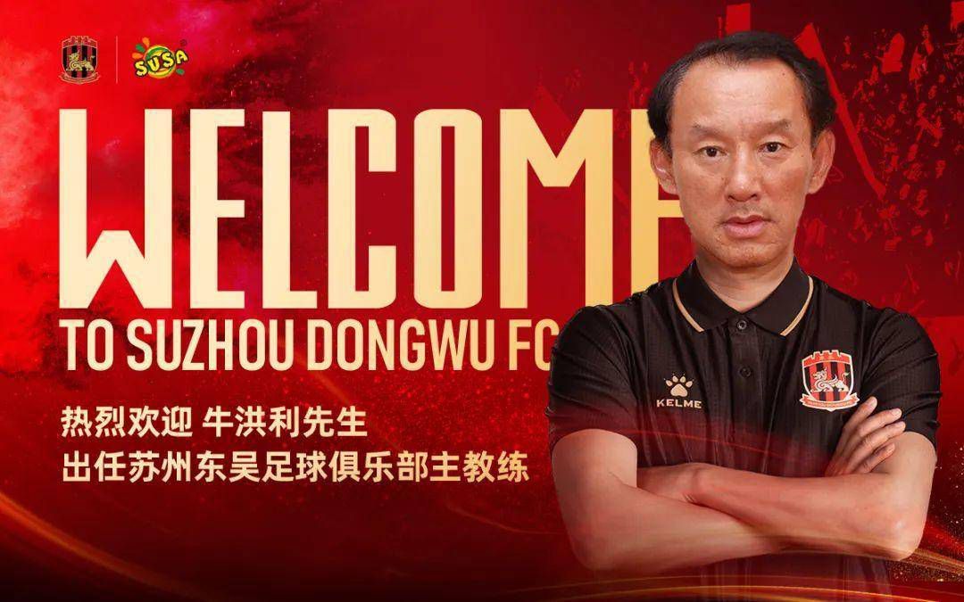 影片的主人公是一位爱沙尼亚的击剑活动员。他为了回避俄罗斯奥秘差人的追捕，回到了故乡爱沙尼亚。在那儿他成了一位黉舍里的击剑教员。但是曩昔的暗影却不愿放过他，终究让他面对艰巨的决定。